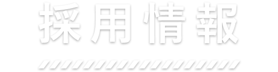 採用情報